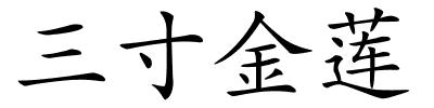 三寸金莲的解释