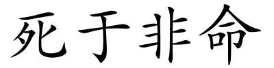 死于非命的解释