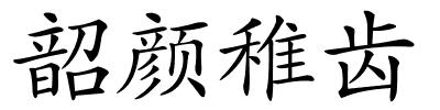 韶颜稚齿的解释