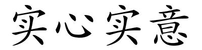 实心实意的解释