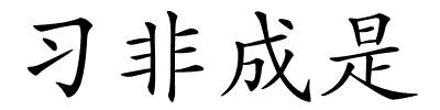 习非成是的解释