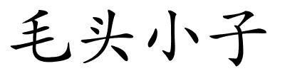 毛头小子的解释