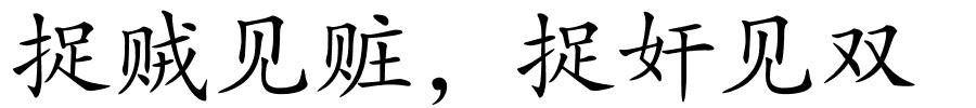 捉贼见赃，捉奸见双的解释