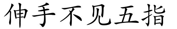 伸手不见五指的解释