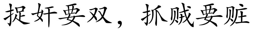 捉奸要双，抓贼要赃的解释