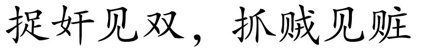 捉奸见双，抓贼见赃的解释