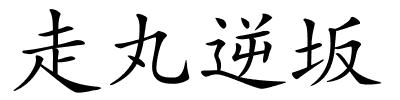 走丸逆坂的解释